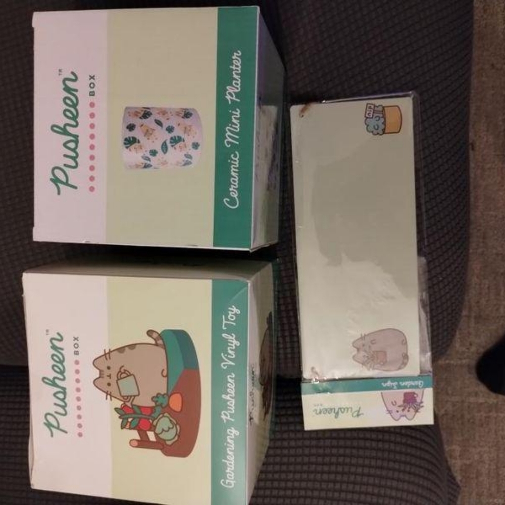 Pusheen items